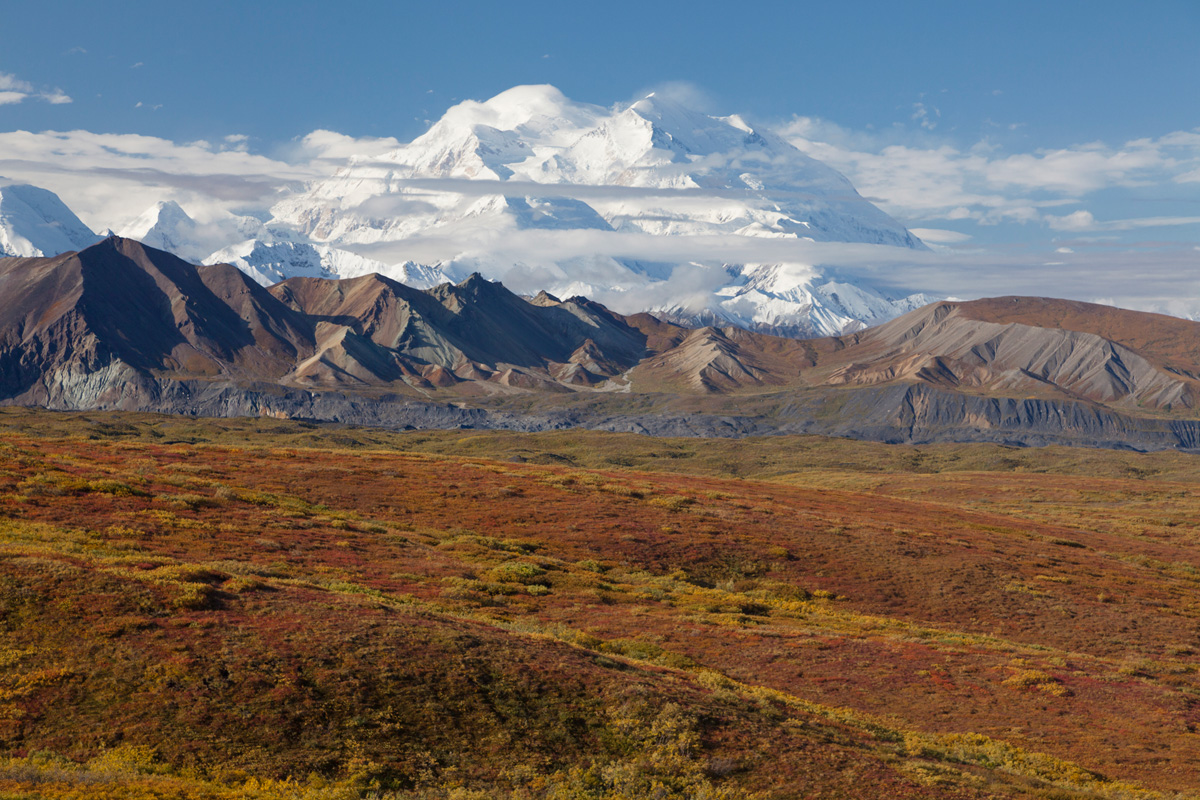 Alaska Denali Photo Tour