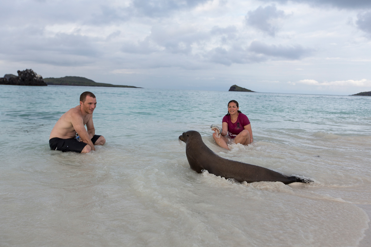 Galapagos Islands Wildlife Tours